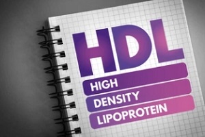 high density lipoprotein written on notebook