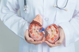 docotr holding kidney clone