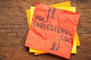 HDL and LDL cholesterol concept