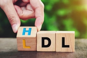 hand flipping wooden cube block from change LDL to HDL for High is high density lipoprotein and LDL is low density lipoprotein concept