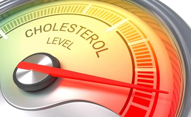 colorful gauge illustrating cholesterol test levels with a needle pointing to a high range in red