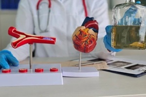 doctor holds bottle of alcohol model of heart