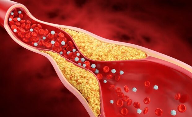 3d illustration of red blood cells